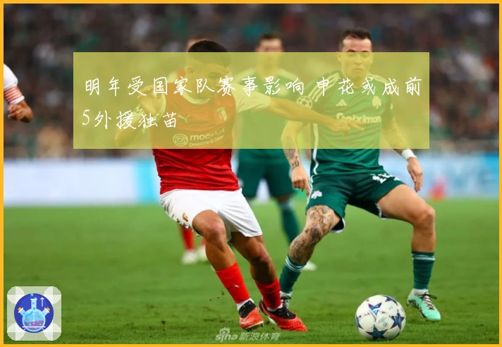 明年受国家队赛事影响 申花或成前5外援独苗