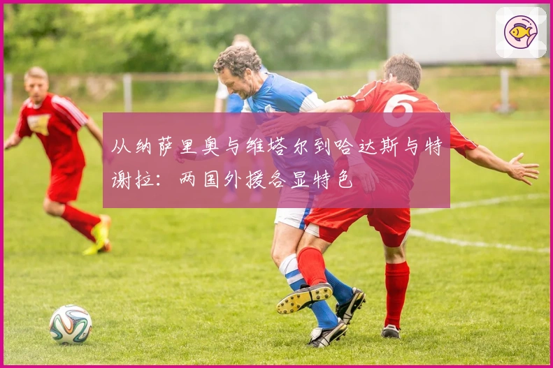 从纳萨里奥与维塔尔到哈达斯与特谢拉：两国外援各显特色