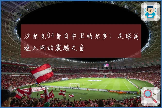 沙尔克04昔日中卫纳尔多：足球高速入网的震撼之音