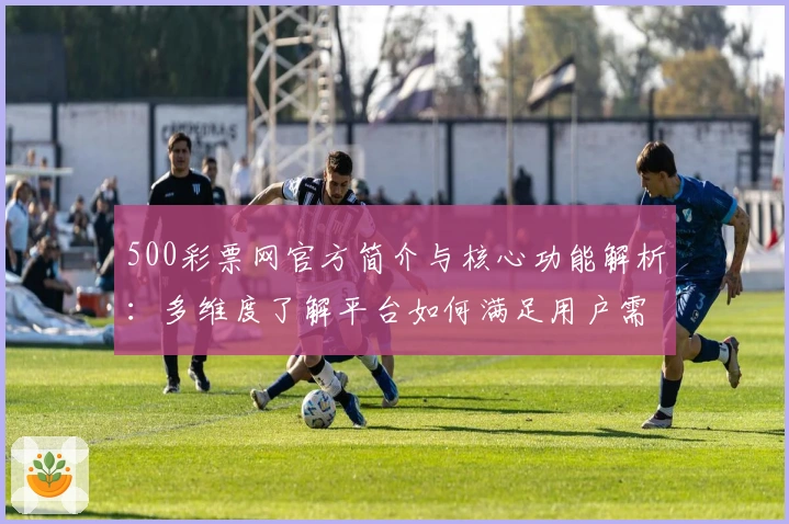 500彩票网官方简介与核心功能解析：多维度了解平台如何满足用户需求