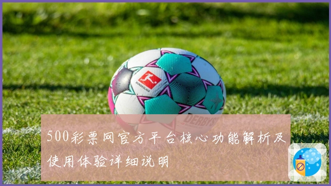 500彩票网官方平台核心功能解析及使用体验详细说明