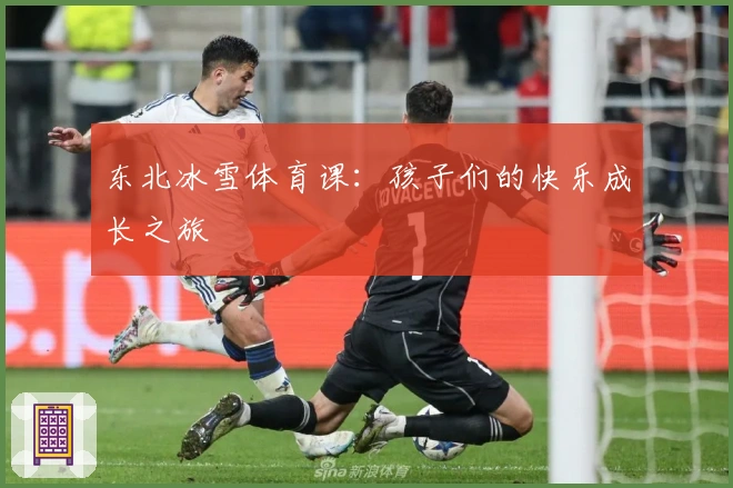 东北冰雪体育课：孩子们的快乐成长之旅